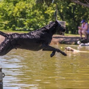 Meet your Posher, Sydney